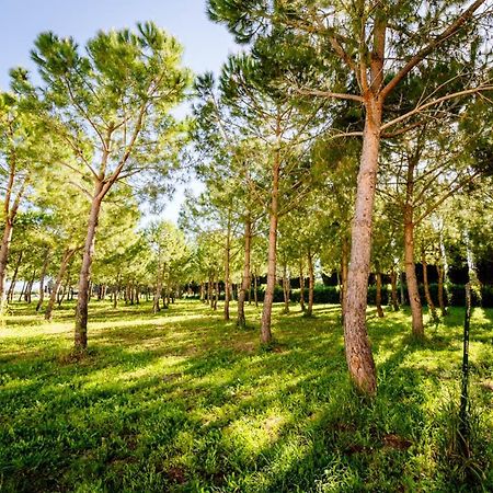 Agriturismo Bio San Mamiliano 그레세토 외부 사진