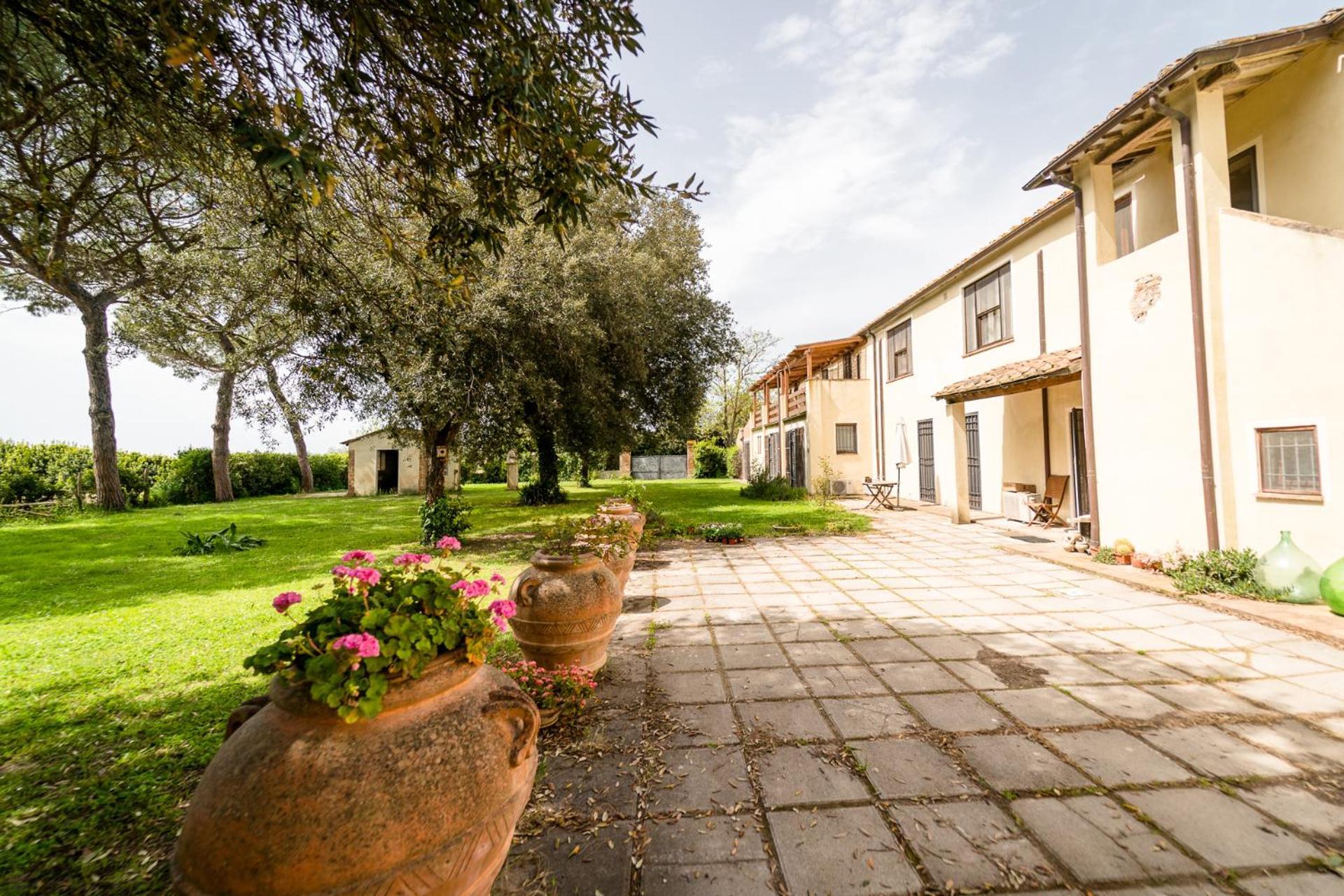 Agriturismo Bio San Mamiliano 그레세토 외부 사진